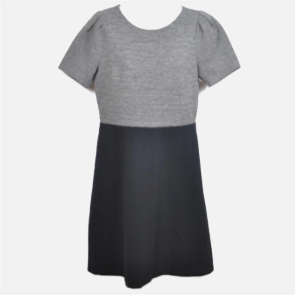 NWT LOFT Ann Taylor Color Block Short Sleeve Gathered Sleeve Dress Exposed Zip